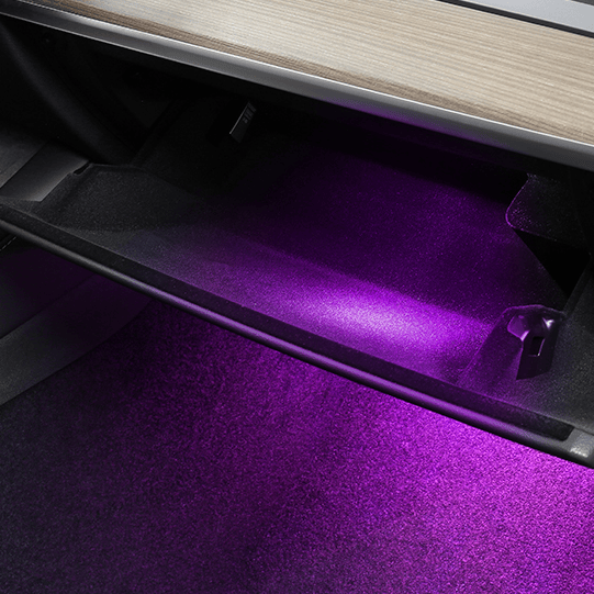 Footwell LED Lights for Tesla Model 3/Y/S/X (4PCS)