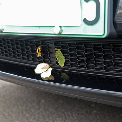 Insect Screens Suitable for Tesla Model 3