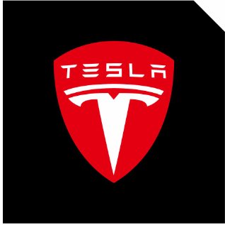 LED Logo Tesla Puddle Lights for Model 3 / Y / S / X