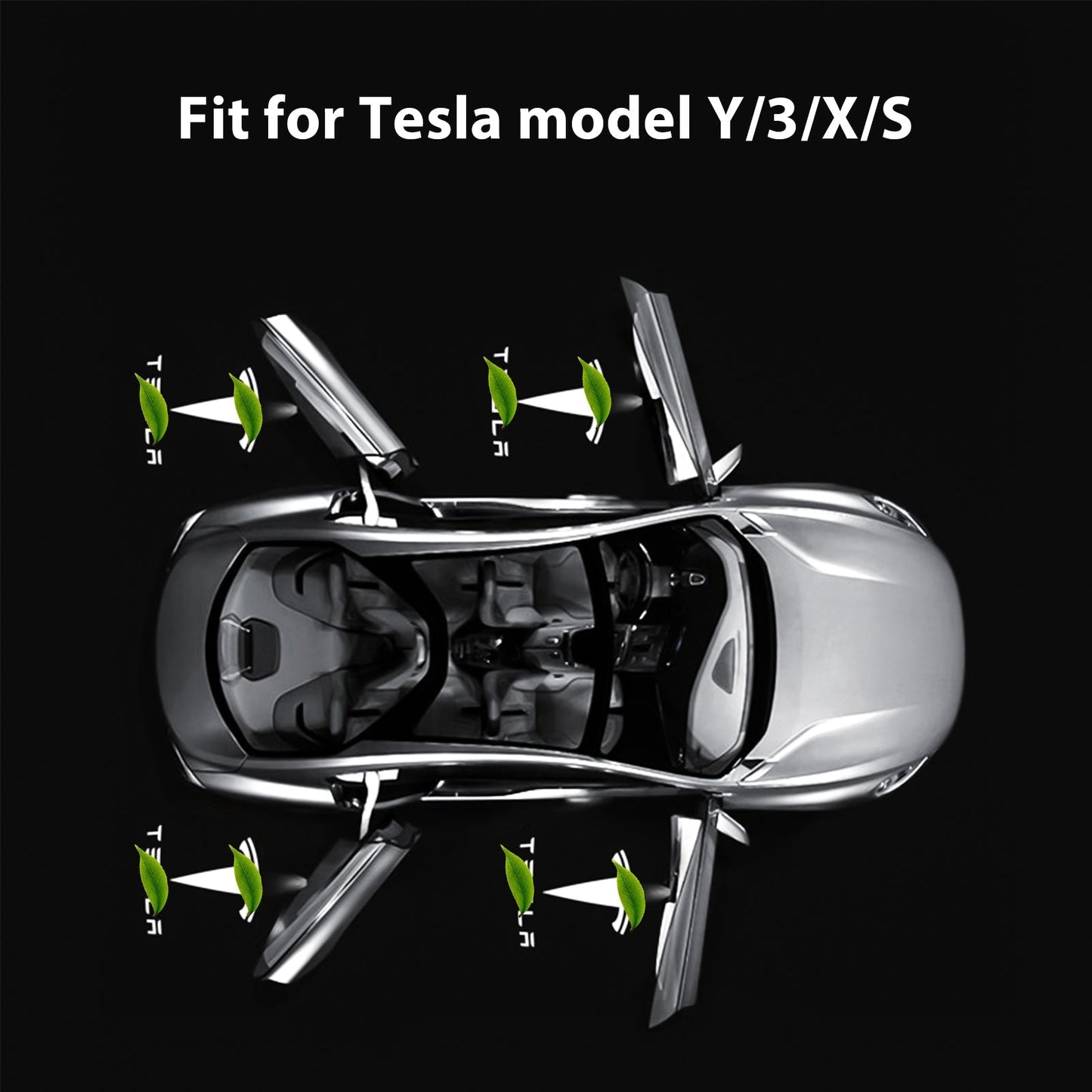 LED Logo Tesla Puddle Lights for Model 3 / Y / S / X