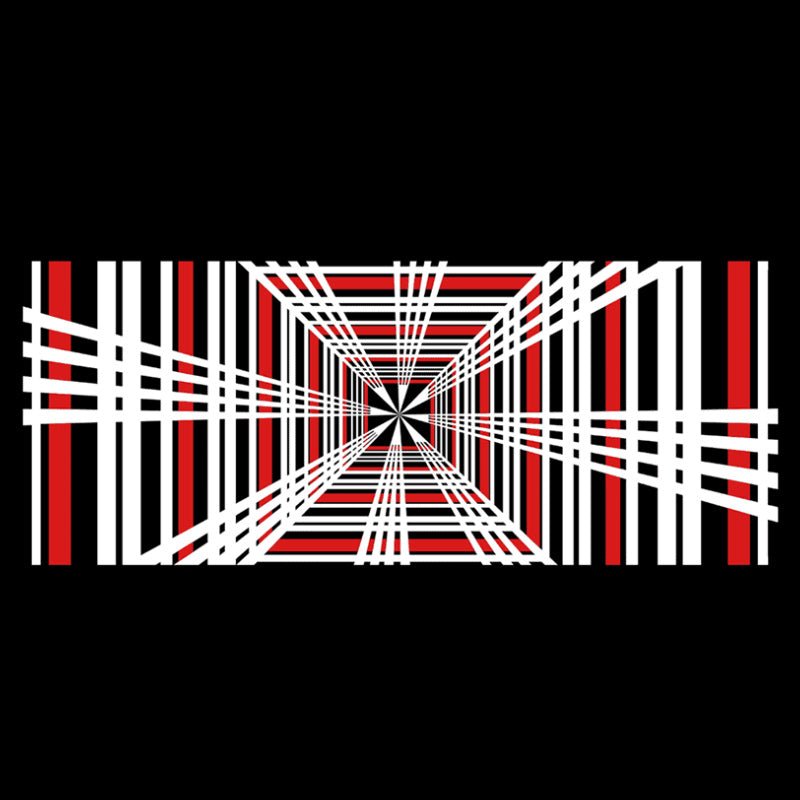 License Plate Projection Lights for Model 3 Highland/Model Y