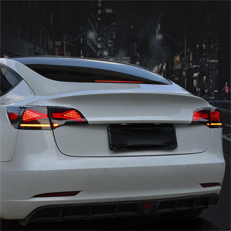 TESERY X-treme Tail Light for Model 3/Y