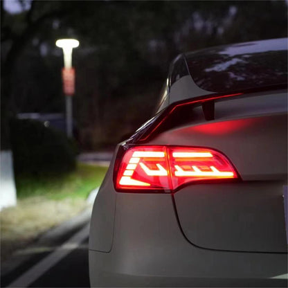 TESERY Full LED Tail Light for Tesla Model 3/Y