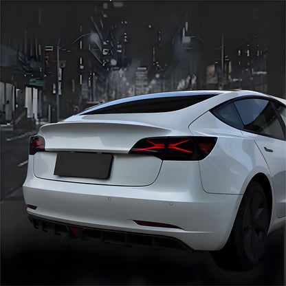 TESERY X-treme Tail Light for Model 3/Y