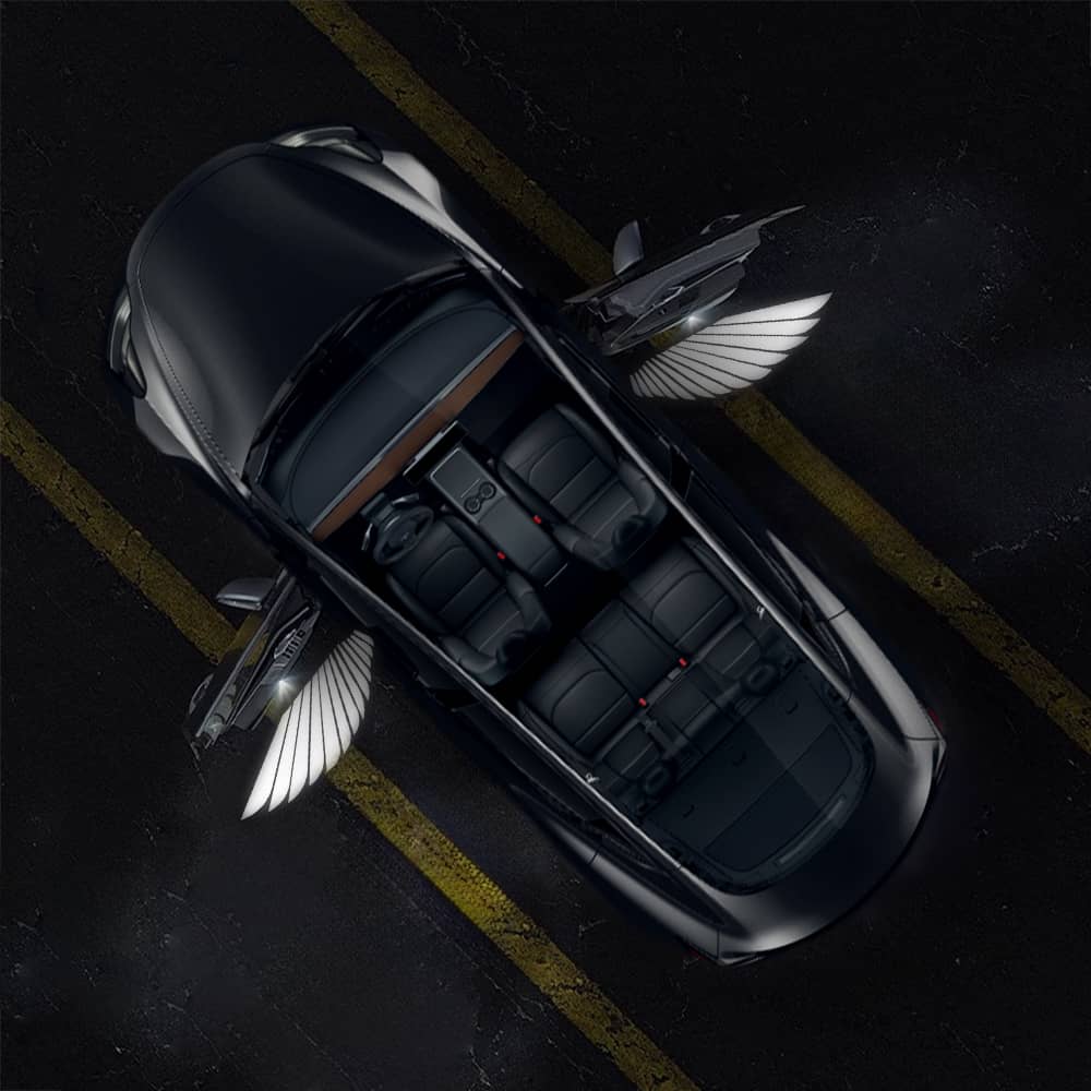 TESERY Angel Wings Door Welcome Lights for Model 3/Y/S/X