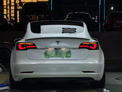 TESERY Dragon Scale Tail Lights for Model 3/Y