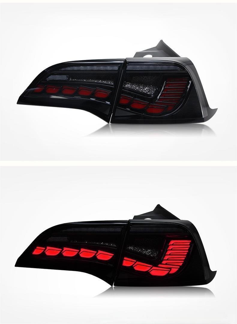 TESERY Dragon Scale Tail Lights for Model 3/Y