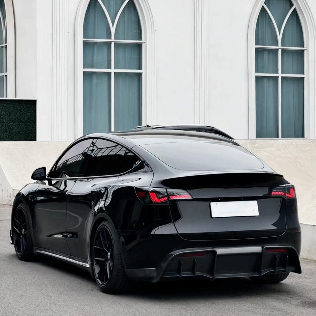 TESERY Dragon Scale Tail Lights for Model 3/Y