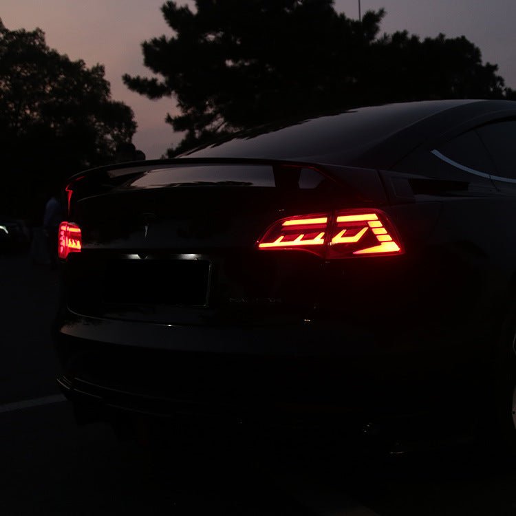 TESERY Full LED Tail Light for Tesla Model 3/Y